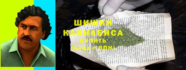 PSILOCYBIN Балахна