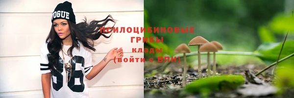 спиды Баксан