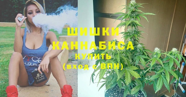 PSILOCYBIN Балахна