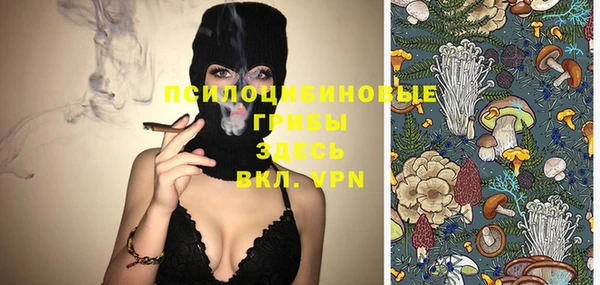 PSILOCYBIN Балахна