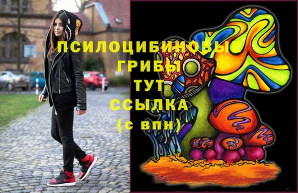 PSILOCYBIN Балахна