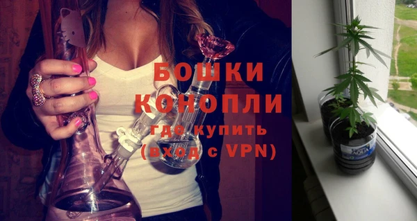 PSILOCYBIN Балахна
