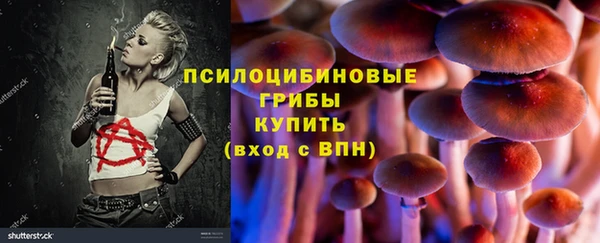 PSILOCYBIN Балахна