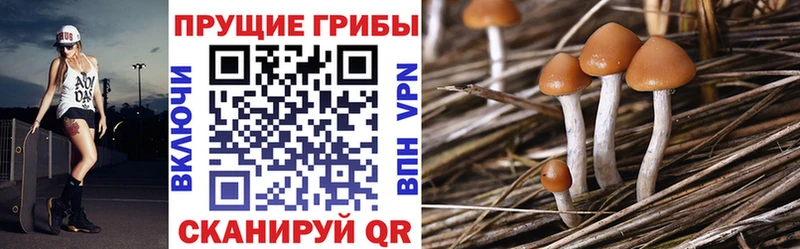 наркота  Ессентуки  Псилоцибиновые грибы мухоморы 