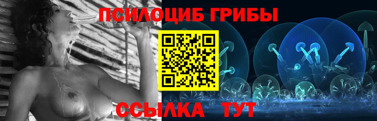 Галлюциногенные грибы Cubensis  Вход с VPN  Ессентуки 